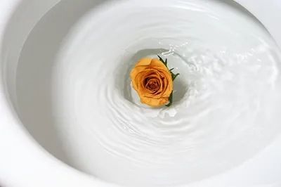 Illustration flushing - Image 1