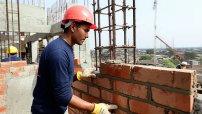 Illustration backfill - Image 1