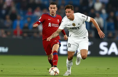 Illustration nutmeg - Image 1