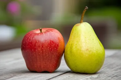 Illustration collocates - Image 1