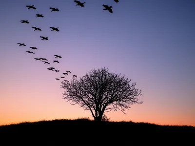 Illustration departed - Image 1