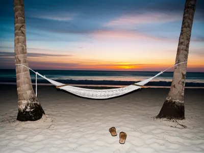 Illustration retired - Image 1