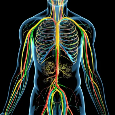 Illustration topologies - Image 1