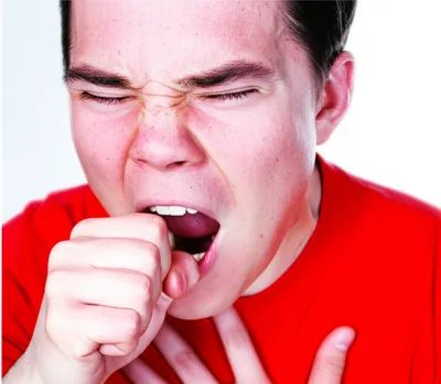 Illustration chink - Image 1