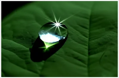 Illustration glinted