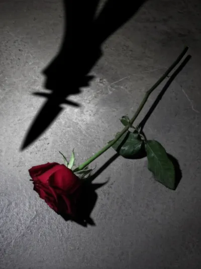 Illustration murders - Image 1