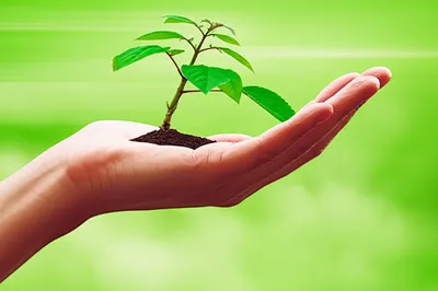 Illustration upholds - Image 1