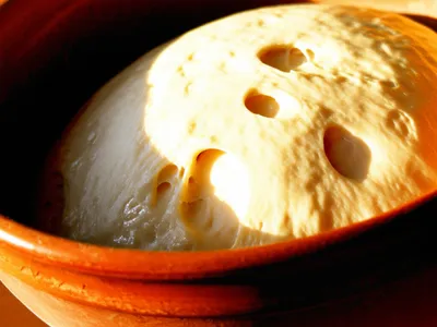 Illustration leaven - Image 1