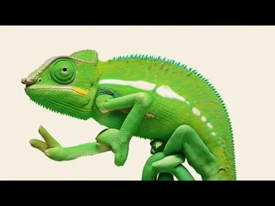 Illustration inflect - Image 1