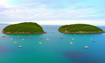 Illustration kyle - Image 1