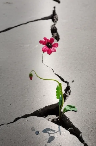 Illustration grinds - Image 1