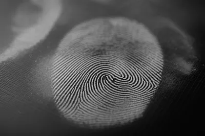 Illustration fingerprints - Image 1
