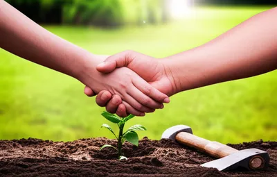 Illustration resolve - Image 1