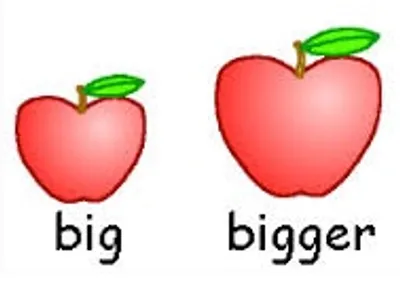 Illustration comparative - Image 3