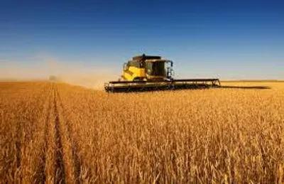 Illustration breadbasket - Image 2