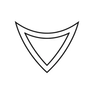 Illustration shield - Image 1