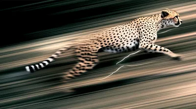 Illustration supercharged - Image 1