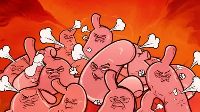 Illustration stomachs - Image 1