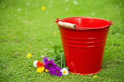 Illustration buckets