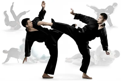 Illustration karate - Image 1
