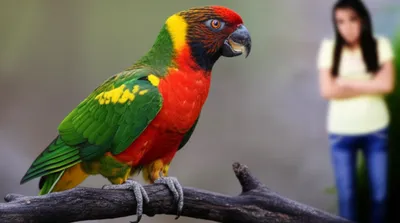 Illustration mocking - Image 1