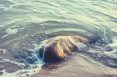 Illustration lipped - Image 1