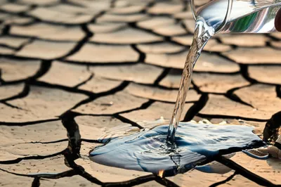 Illustration washing - Image 1