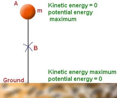 Illustration potential - Image 3