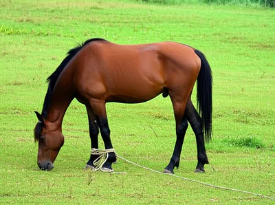 Illustration spans - Image 1