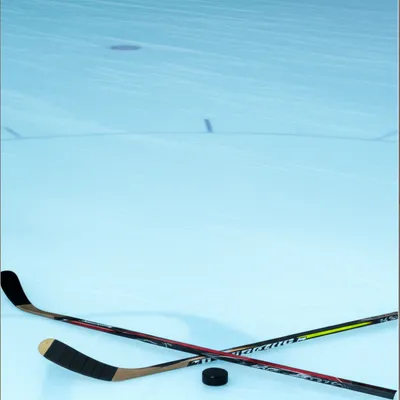 Illustration rink - Image 1