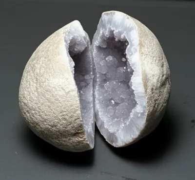 Illustration cleave - Image 1