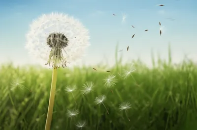 Illustration expiring - Image 1