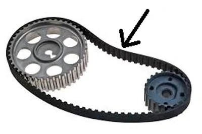 Illustration belt - Image 2