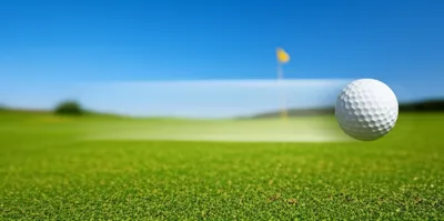 Illustration carries - Image 1