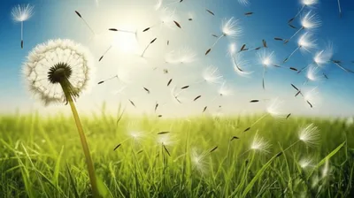 Illustration floating - Image 1