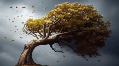 Illustration buckles - Image 1