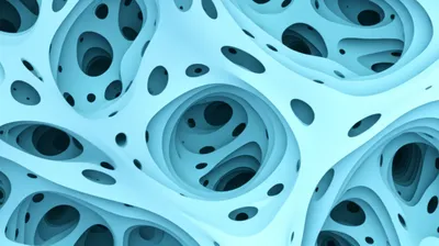 Illustration sponges - Image 1