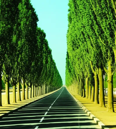 Illustration avenue