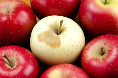 Illustration tainted - Image 1