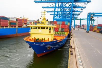 Illustration feeders - Image 1