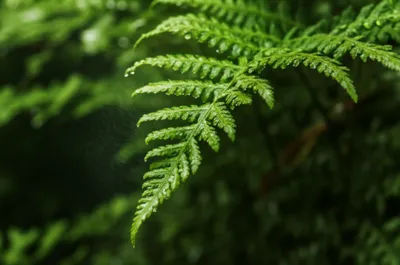 Illustration moist - Image 1