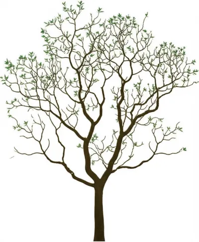 Illustration multiplicity - Image 1