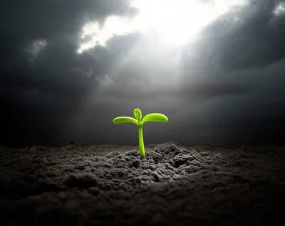 Illustration illuminating - Image 1