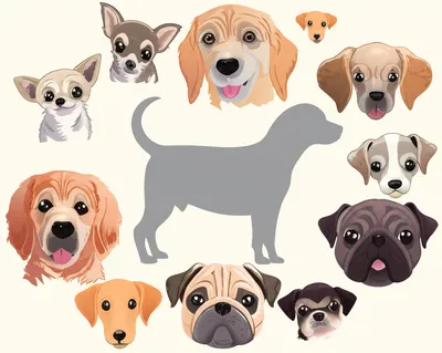 Illustration generalisation