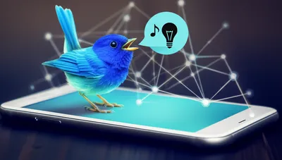 Illustration tweet - Image 1