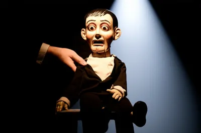 Illustration throws - Image 1