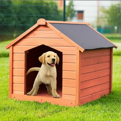 Illustration kennelled