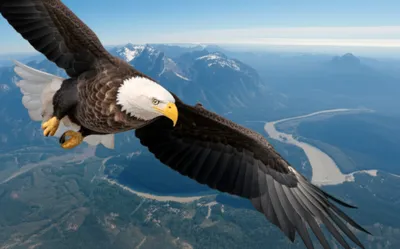 Illustration commands - Image 1