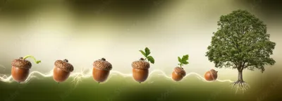 Illustration chain - Image 1