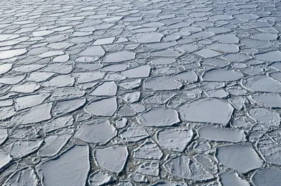 Illustration pack - Image 1